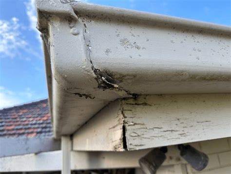 Gutters Leaking At Seams